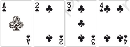 토토 바둑이게임 토토사이트365